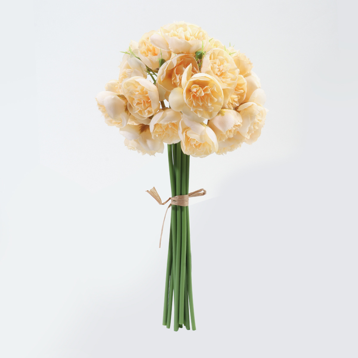 샴페인 색상(9개들이 한 줌, 3개들이 한 줌)