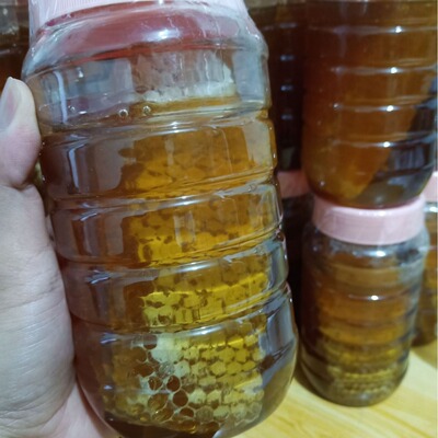 蜂巢蜜 批发零售 瓶装蜂巢蜜 荆条蜂巢蜜 山花巢蜜 蜂场直发蜂巢