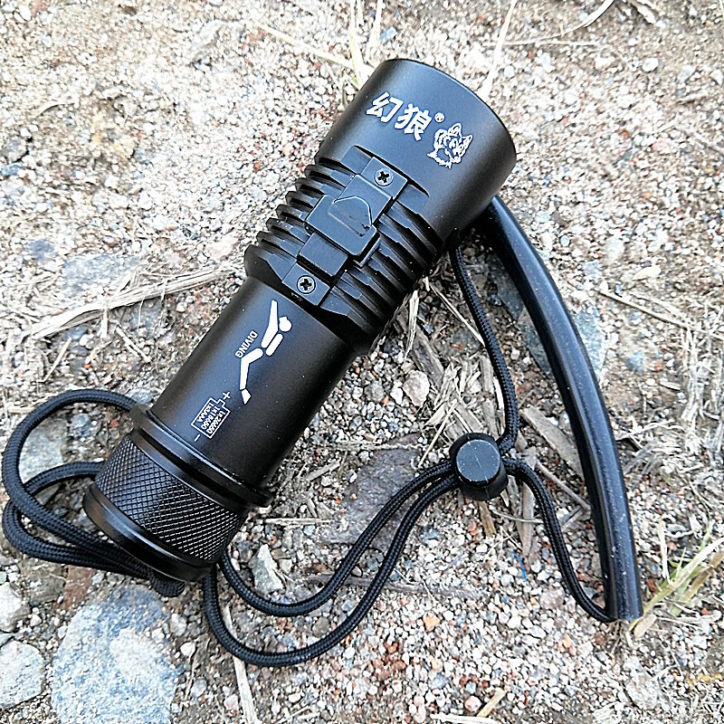 IMG_20211115_155404_副本