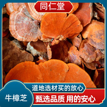 ţ��֥�����ɽ��Ұɽţ��֥�t˨���t��֥Ѫ�`֥��؛��؛