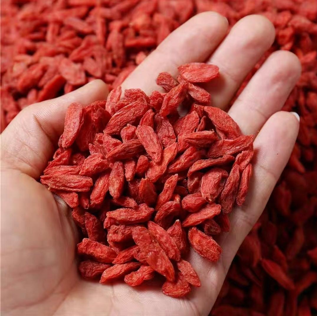Red Goji Berries Gouqizi Dried Wolfberry Fruit 500g for Tea Soup and Daily Herbal Use key features