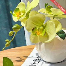 ?����С�������m�������ٻ����[�Oϴ��̨���P�b����[