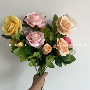 �羳���R�d5�^ë������7ɫ��c��֦�q��õ�廨�ٻ��������˹�õ��