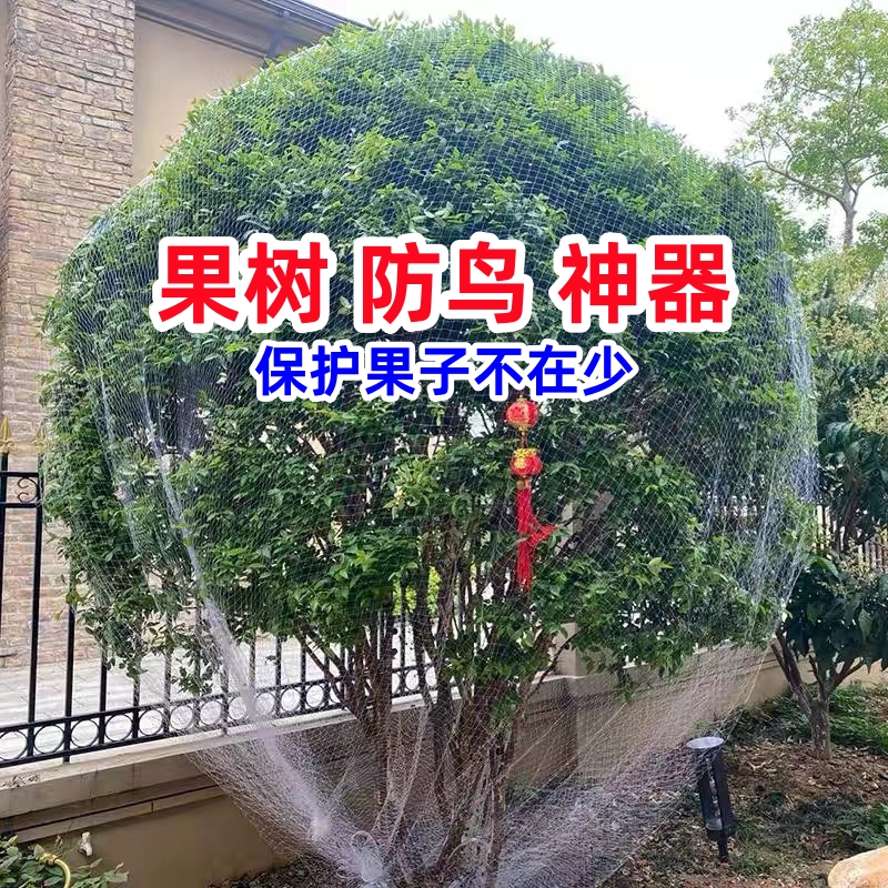 果树防鸟网嘉宝果树防鸟用的网农用防鸟丝网果园天网防鸟罩子阳台