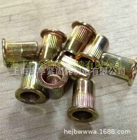供应铆螺母 锁紧螺母 拉铆螺母 连接螺母 板材链接螺母