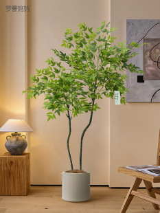 ߶pݷGֲ҃ȿ͏dɳl߅طֲ[٘b