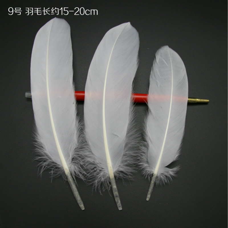 하드 플로트 약 50개