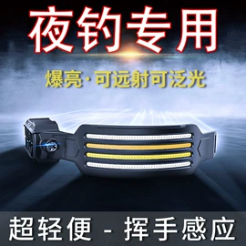 手电筒;头灯头戴电筒;野营/露营灯