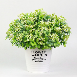 �������m���� �Ҿ��������Բ廨СҰ�� ֲ���� �řڲ廨��