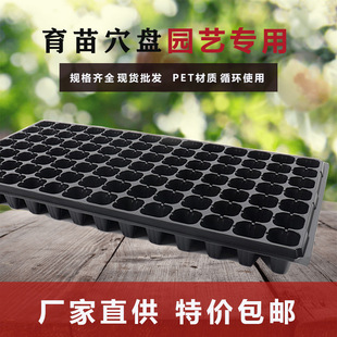 �S�Ҷ�������PѨ�P������Nֲ�����߲���������P�r�����NǤ���