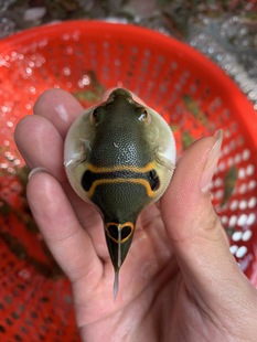 ���ߺ����^�p�~�����~��������~���R���ޝ�ˮͧ�Ě��~��ˮ��ˮ�~