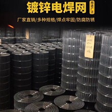 长孔镀锌铁丝网养鸡网电焊网鸟笼网养殖网兔笼网鹦鹉鸽笼网鹌鹑网