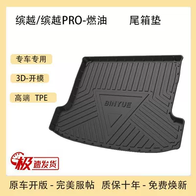 Trunk Mat – Panda MINI King Kong Trunk Mat - the-19-20-models-of-binyuepro-fuel-have-mesh-pockets-on-the-left-and-right-sides-tpe-upgraded-model