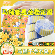 �������������ݳ��������۹������`��������RͰ�坍���l���g