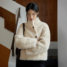 【自留款】全羊毛立领羊羔毛皮毛一体皮草外套女秋冬小个子短款新