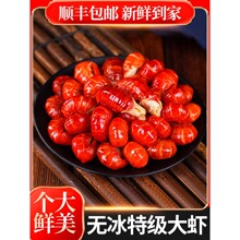 龙虾尾冷冻生鲜无冰衣龙虾尾大号虾尾龙虾麻辣龙虾龙虾尾