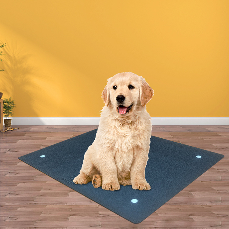 工厂出口PVC宠物地垫 PET MAT宠物垫PVC 复合宠物垫