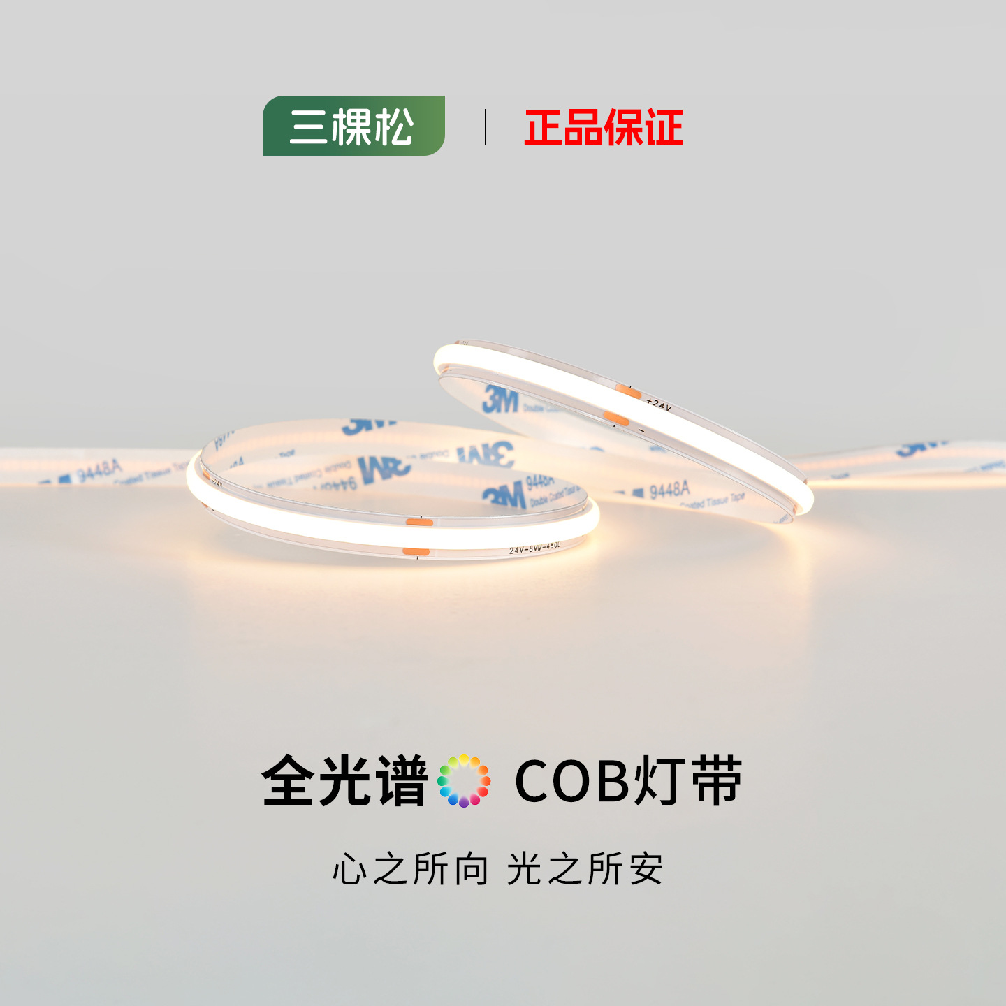 Sankesong COB LED strip, 24V low voltage LED, suitable for home and outdoor use, Zhongshan home decoration cabinet self-adhesive wholesale LED light strip.