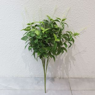 ����ֲ������F��ɏ���y���~ ����ڒ��b��b� ��c�����Y���b�