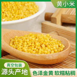 厂家生产黄小米小米子五谷杂粮月子米宝宝婴儿吃小黄米500g现货