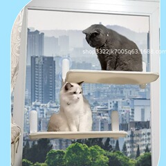 アマゾンの起爆猫ハンモックは折り畳み可能で、4つの吸盤をつなぎ合わせることができます。