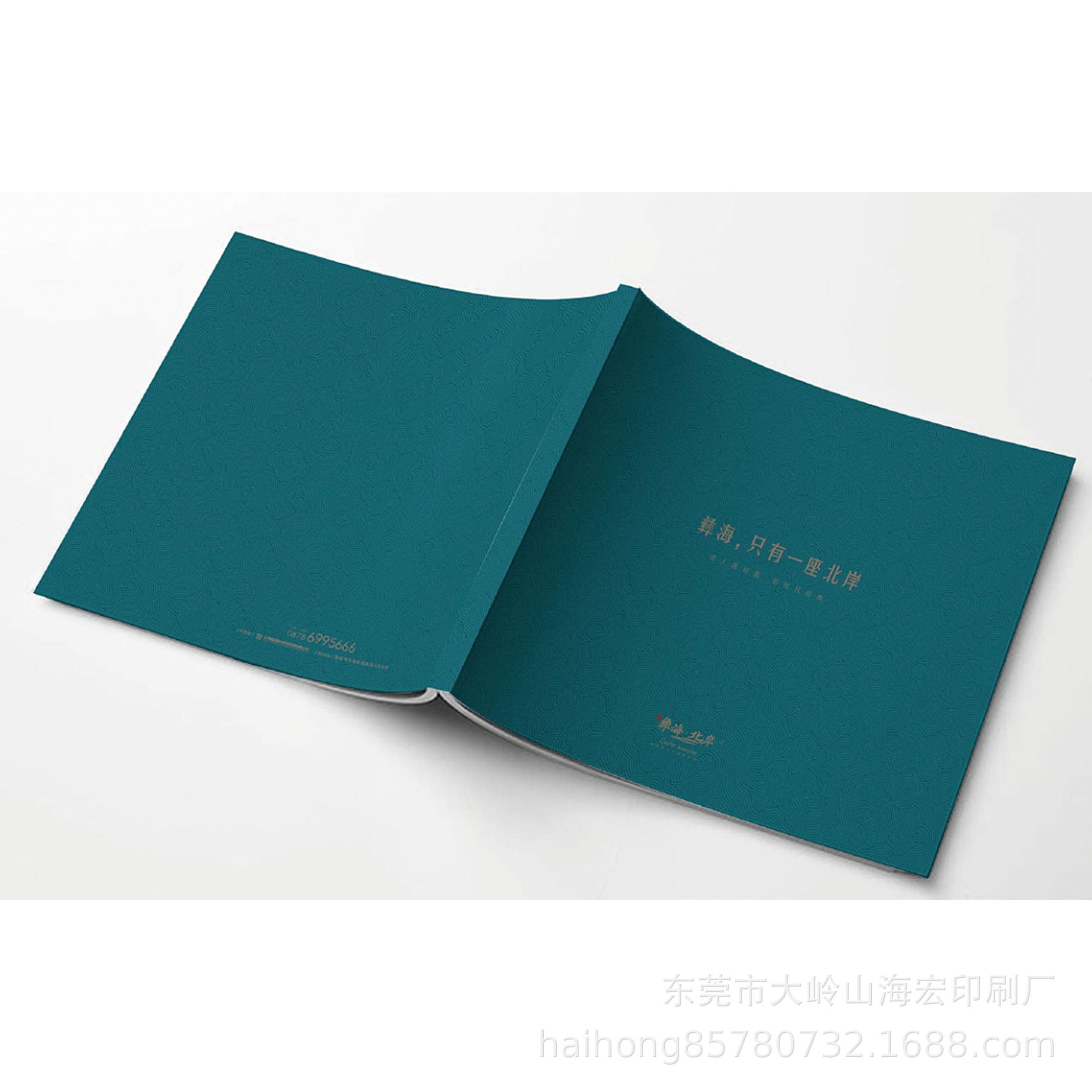 东莞海宏 长期大量制作供应产品说明书印刷防伪