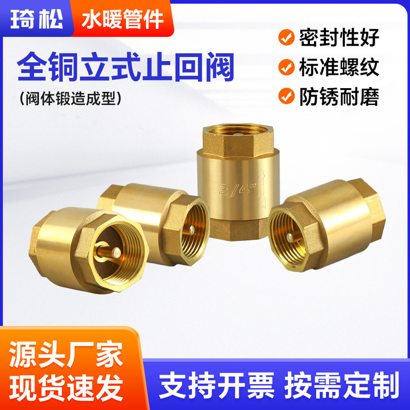 Brass Vertical Check Valve 1/2 Inch, 3/4 Inch Internal Thread One-Way Valve, Thickened Backflow Prevention Valve, Spring-Type Valve