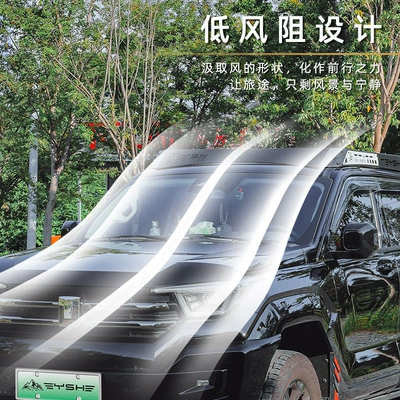 Roof rack – Ladder Side Armor Backpack