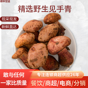 ���Ұ���t�[Ҋ�����mïţ�ξ�Ұ���ж�Ģ�������W�tҊС�˿�