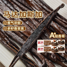 չˇ����v�m���v�R�_��˹�Ӳ��Ժ決�l��Ȼ�㾫ԭ�����v�������b