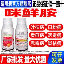 450��/�����r�����ٱ��r���Ú��������r������ș�rș���l