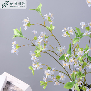 滨 ѩ һѻҾܛb̔[hѩӭcٻ