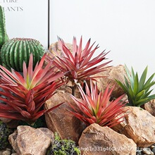 ����Gֲ���������m�����ᎧɳĮֲ��m�����b������҃Ȳ��쾰