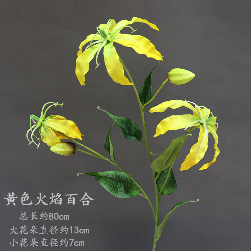 노란 불꽃 백합 한 송이