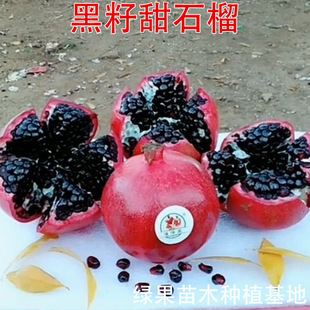 ��������ʯ���� ������ʯ����� ���ܛ����ʯ�� ����ֱ�N������