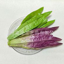 仿真油麦菜模型假蔬菜莜麦菜苦菜牛俐PU拍摄道具玩幼儿认知教具