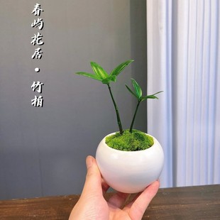 ������\���d�k���ҾGֲ�����҃��k������ �ļ�ꖹ��Ї��L С����