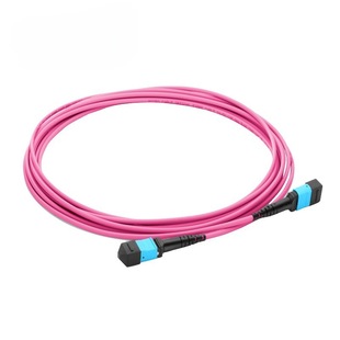 Mpo/Mtp/Apc-Lc Female 8-Core/12-Core/24-Core Single-Mode Branch Fiber Optic Jumper Lszh Carrier Grade