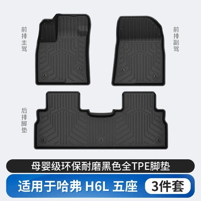 Dog, Menglong, Xiaolong Max, Modelə uyğun ayaqaltı - haval-h6l-tpe-floor-mat-single-layer
