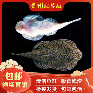 ��ˮ������~�F�������q�p���P������������~С����ԭ���~���Ӝ�