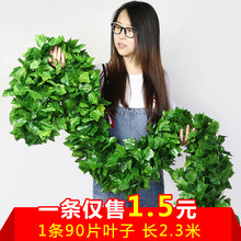 ���������~�ٗl�ٻ�����b���ɽ���ٗl�Gֲˮ���p�@�����ړ��G�~