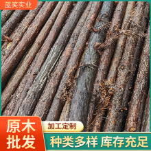 户外景观园林带皮绿化杉木支撑杆河道打桩木杉木原木桩