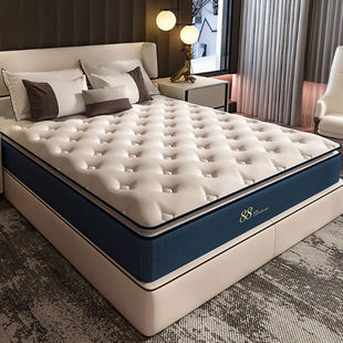 Spring Mattress 1.68m Hotel Latex Coconut Palm Mat Soft and Hard Double Sided 20cm Thick