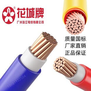 �V���齭��|������ZC-YJV1*95ƽ����ȼ�p�z�~о늾�����ZC-BVV