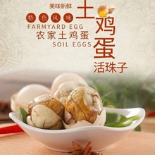 包邮活珠子鸡蛋13天18天活珠子鸡坯蛋鸡蛋熟钢化蛋毛蛋喜蛋