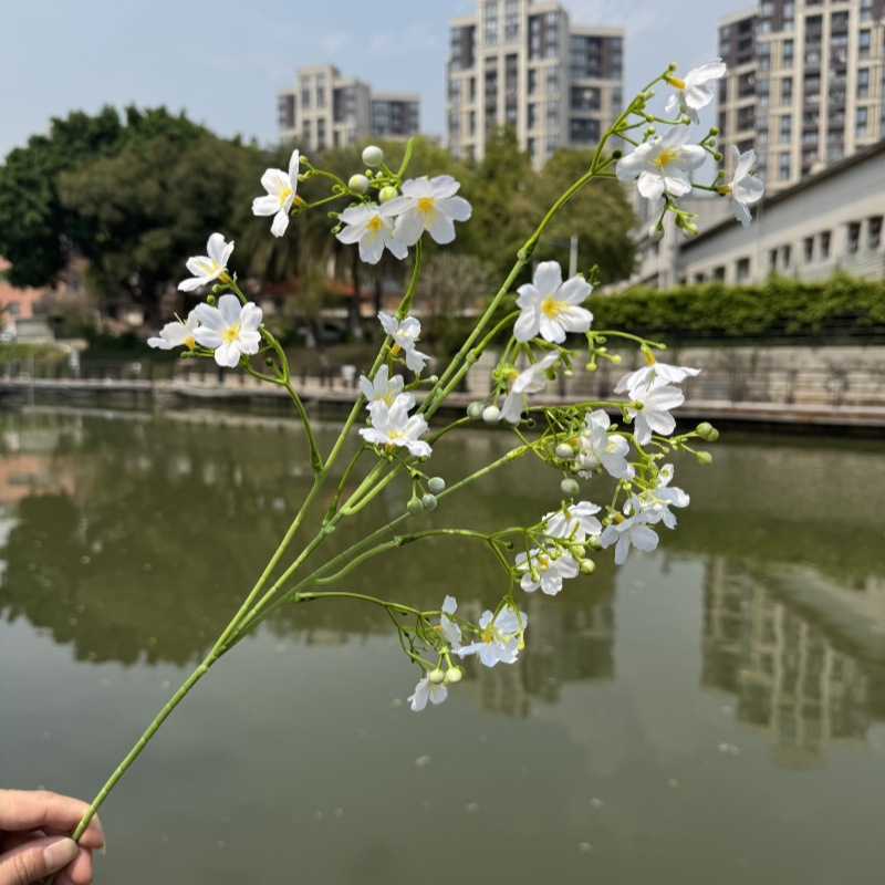 다크리신 작은 꽃무늬-화이트