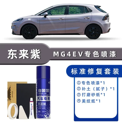 Avtomobil boya qələmləri, Mg4 Ev Spray Paint Touch-Up - product-specification-grids-donglai-purple-standard-repair-send-soil-replenishment-simple-tools