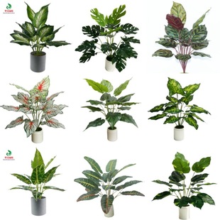 ����ֲ������ ���W�Gֲ���^�~�����~�G�} �Ҿӿ͏d���b��辰�[��