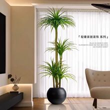 ����Gֲ���^��Ѫ��͏d�҃ȴ����p�ݷ���ֲ������ɳ�l��ؔ[��