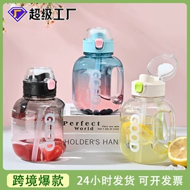 吸管杯;随手杯;太空杯